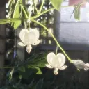  (18+) Ｎｅｌｌｙｎｘ Ｃｉｔｙ (omegavers... Discord Server Icon