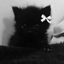 Chill Zone | Hangout ▪ Chill ▪... Discord Server Icon