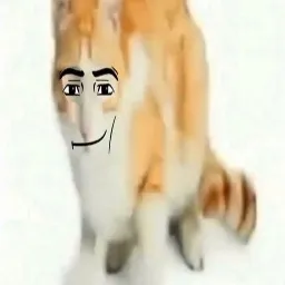 Hehehehehe🤠 — мониторинг Discord сервера, статистика и рейтинг