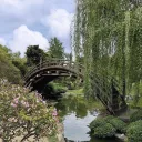 Bloxy Services