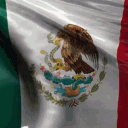 MEXICAN SPECIAL FORCES 2.0