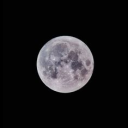 lunar will -- ROLEPLAY