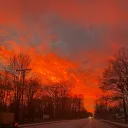 starlight Discord Server Icon