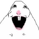hamster jack