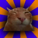buh cat family
