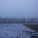 SnowPiercing Discord Server Icon