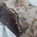 This, is a good chocolate   Discord Server Icon