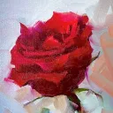 Admirosé™