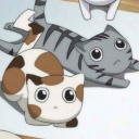 Nine Lives ≽ܫ≼ Discord server icon