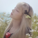 à­¨âŽ¯ RCTA LOVELIES âŽ¯à­§ Server Icon