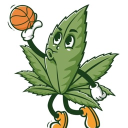 🏀 𝕀𝕊𝕆 𝕆𝔸𝕊𝕀𝕊 🍃 Discord server icon