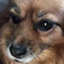 foltyn10fake's server Discord server icon