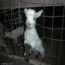 ocd ♡ . .female own