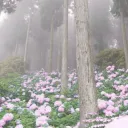 Reverie city Discord Server Icon