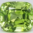 Chrysolythium