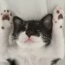 Yapville Discord Server Icon