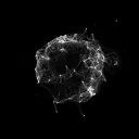  NOCTORNUS Discord Server Icon