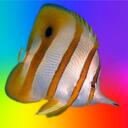 FEESH GANG Discord Server Icon