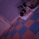 Scooby doo Crazy server Discord Server Icon