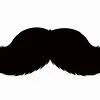 Bigodes