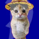 EE Discord Server Icon