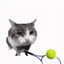 Cat Sports Online Discord Server Icon