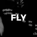 FLY