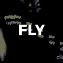 FLY