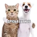 squad бездарей
