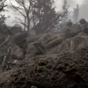 }{ᴡɪᴛʜ ᴛʜᴇ ᴏʟᴅ ʙʀᴇᴇᴅ | ᴘᴇʟᴇʟɪᴜ... Discord Server Icon