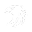 Peleg Development icon