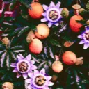 🮱反🯄 ⧰ ⧒▚ ⧱⧉ ⯴◴ ◩◍ Discord Server Icon