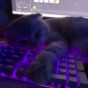/LetsVc ● Social ● VoiceChat ● Giveaways