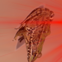 The meme road Server Icon