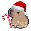 ♡🎉Cappy's Kingdom🎄♡