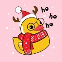 Duck Island  Discord Server Icon