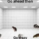 Rat haven