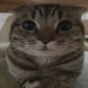 Axo Basement Goons Discord server icon