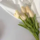 ʜᴀɴɴɪʙᴜɴɴɪ