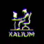 争 | Kalium™