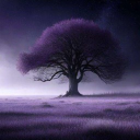 Ethereal Forest Quest