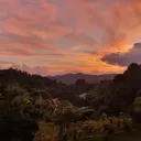 ˗ˏˋ ´ˎ˗𝖨𝗇𝗍𝗋𝗈𝗏𝖾𝗋𝗍𝗌 𝖹... Discord Server Icon