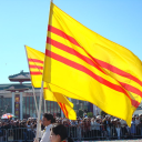 Friends-South-Vietnam-Support