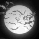 Courtings Of The Night Discord Server Icon