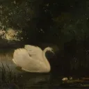 ！𝐒𝐭𝐲𝐠𝐢𝐚𝐧 𝐇𝐢𝐠𝐡﹐🕰