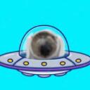 .. ̊.   the spaceship. Discord Server Icon
