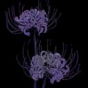 wisteria Discord Server Icon