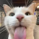 Aster Discord Server Icon