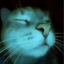 1137886982492668004