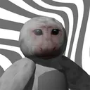 the mocho monkeys